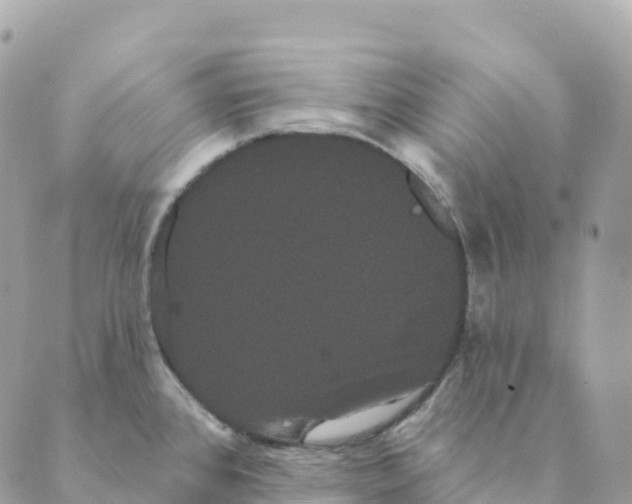 X0000088591384200706221330