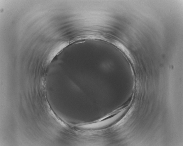 X0000088591385200706221330