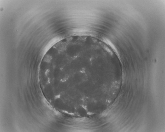 X0000088591386200706221330