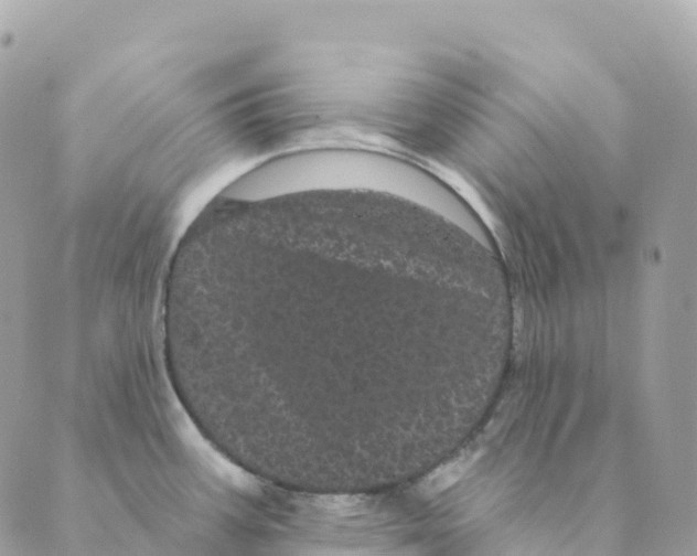 X0000088591387200706221330