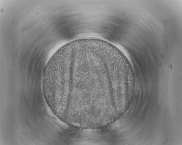 X0000088591390200706221330