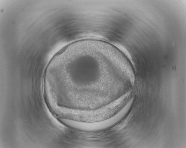 X0000088591391200706221330