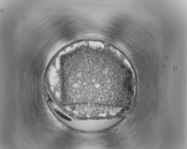 X0000088591392200706221330