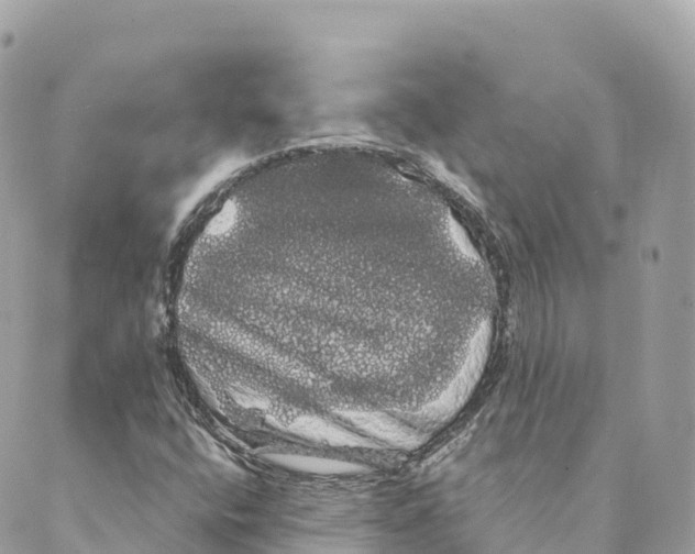 X0000088591400200706221329