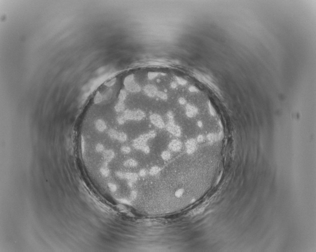 X0000088591404200706221329