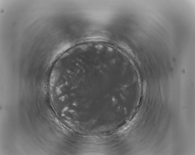 X0000088591405200706221329