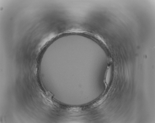 X0000088591406200706221329