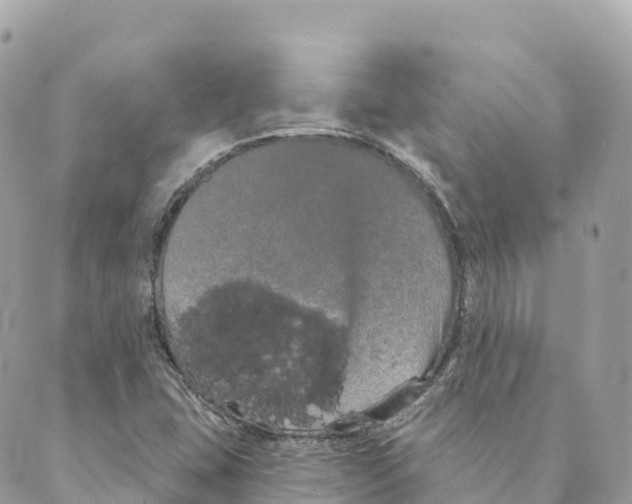 X0000088591407200706221329