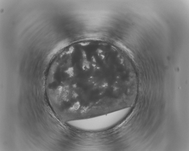 X0000088591411200706221329