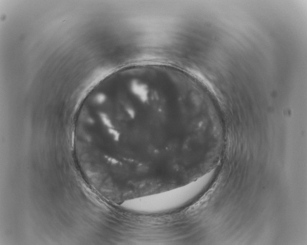 X0000088591413200706221330