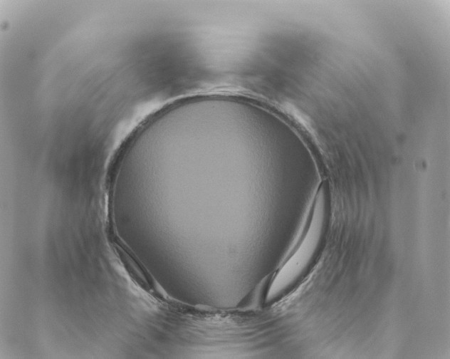 X0000088591414200706221330