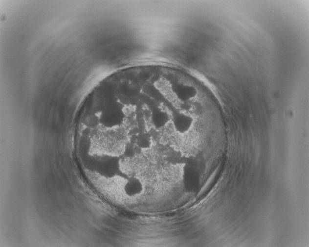 X0000088591415200706221330