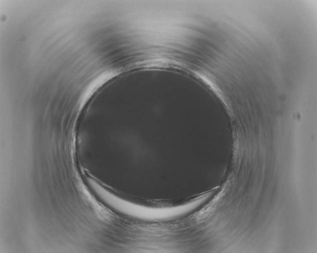 X0000088591418200706221330