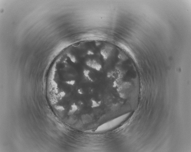 X0000088591419200706221330