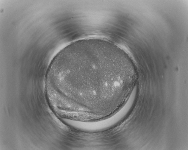 X0000088591420200706221330