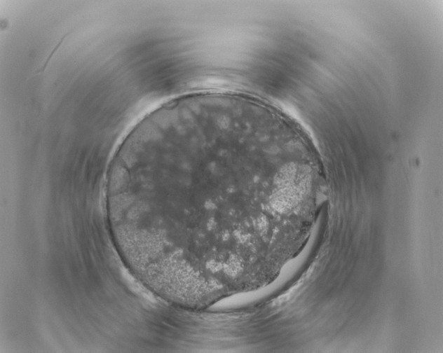 X0000088591421200706221330