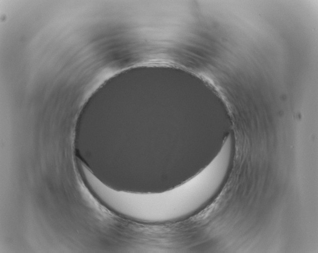 X0000088591422200706221330