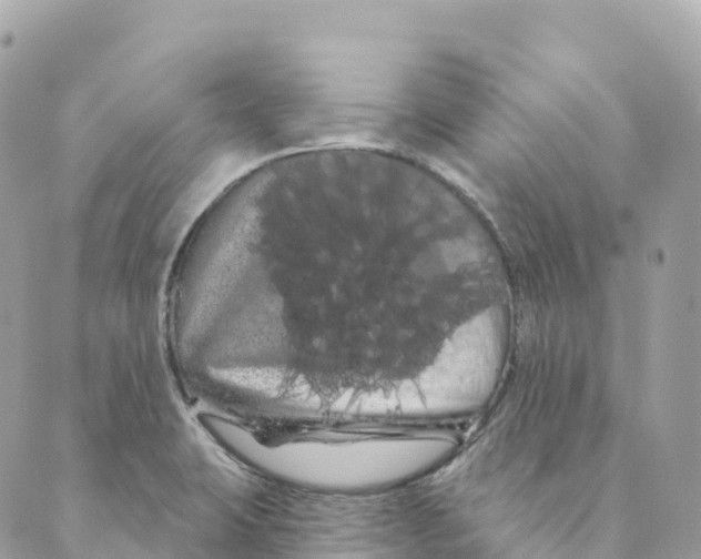 X0000088591423200706221330