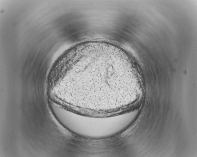 X0000088591424200706221330