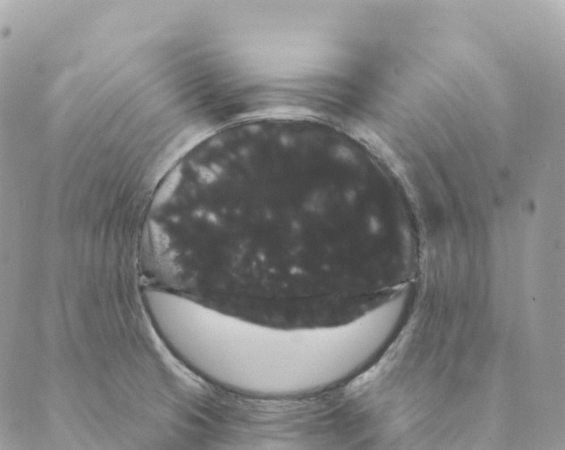 X0000088591425200706221330