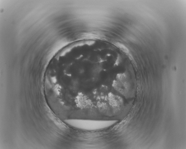 X0000088591427200706221330