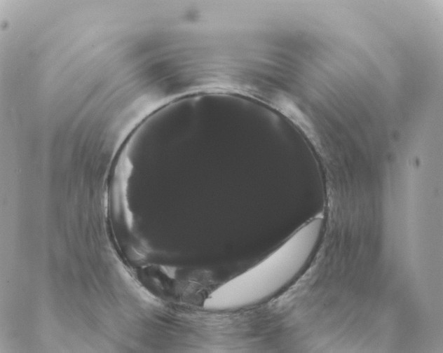 X0000088591428200706221330