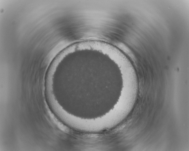 X0000088591431200706221330