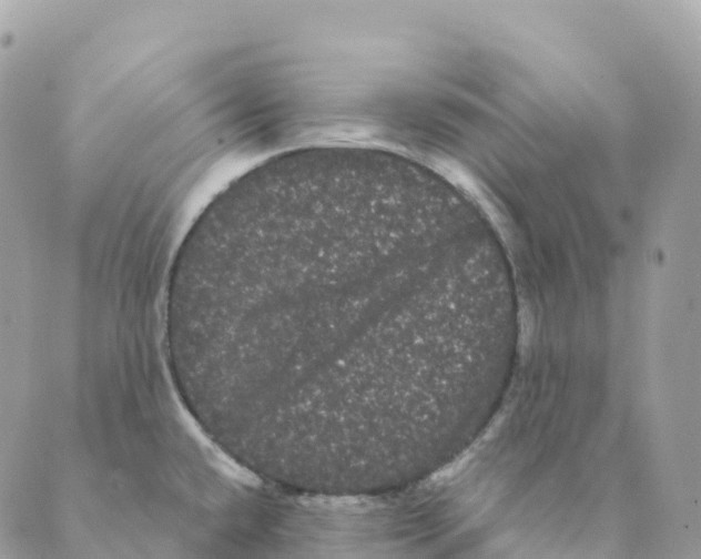 X0000088591432200706221330