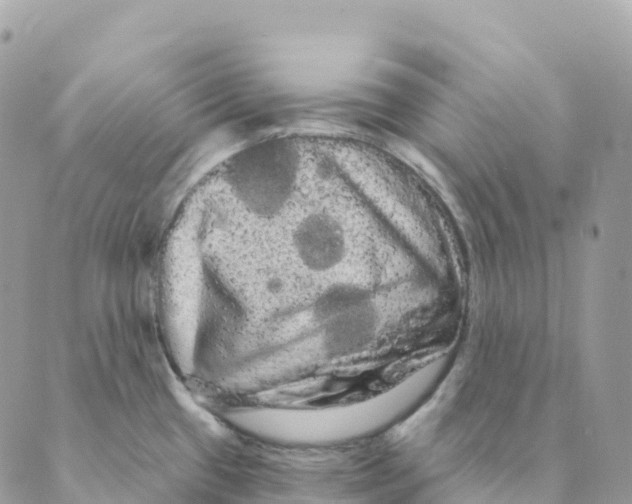 X0000088591433200706221330