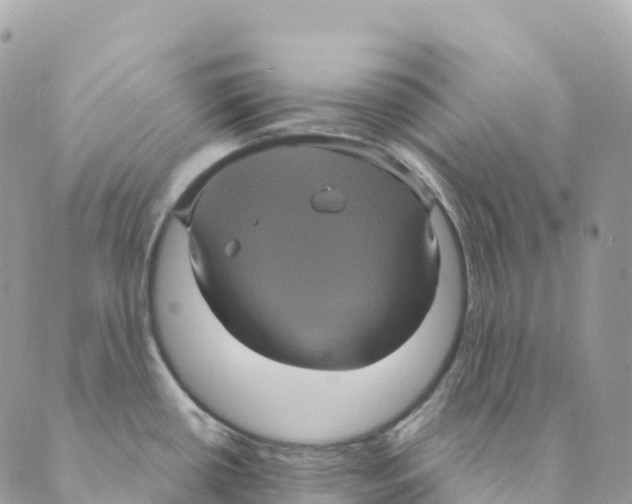 X0000088591434200706221330