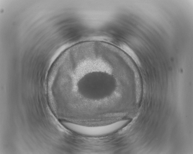 X0000088591436200706221330