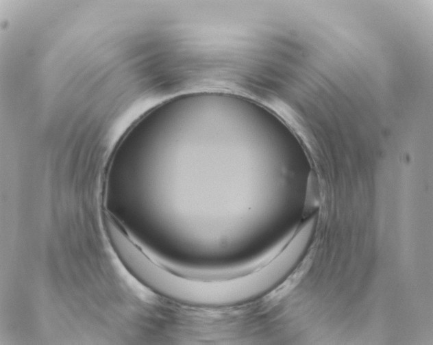 X0000088591438200706221330