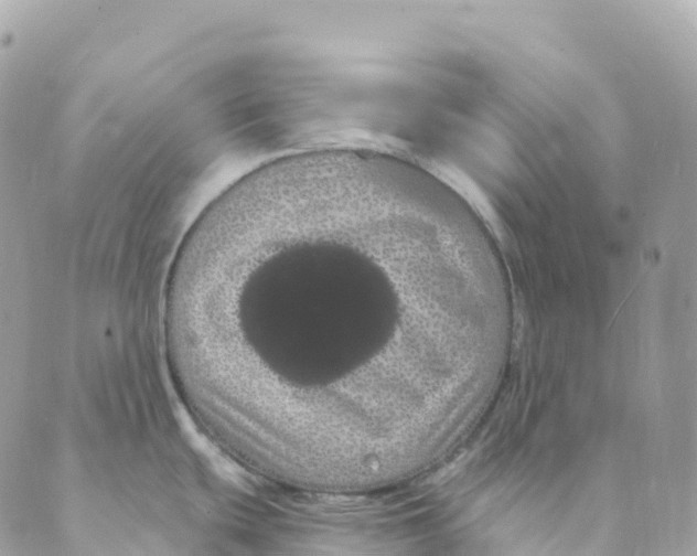 X0000088591439200706221330