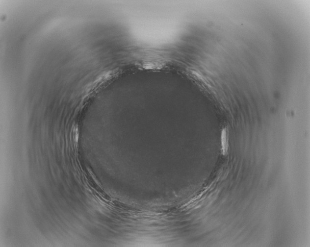 X0000088591443200706221329