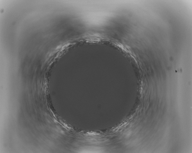 X0000088591445200706221329