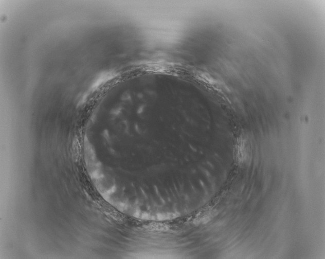 X0000088591446200706221329