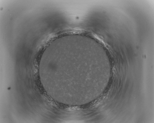 X0000088591447200706221329