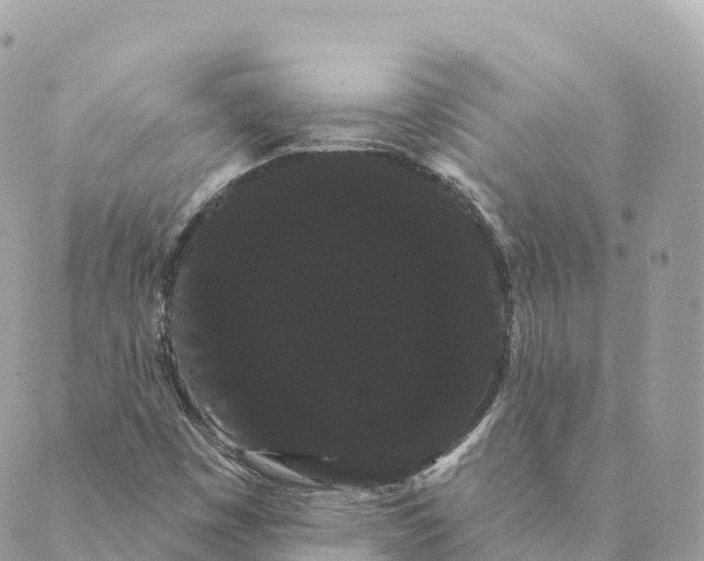 X0000088591449200706221329