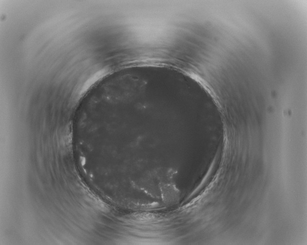 X0000088591450200706221329