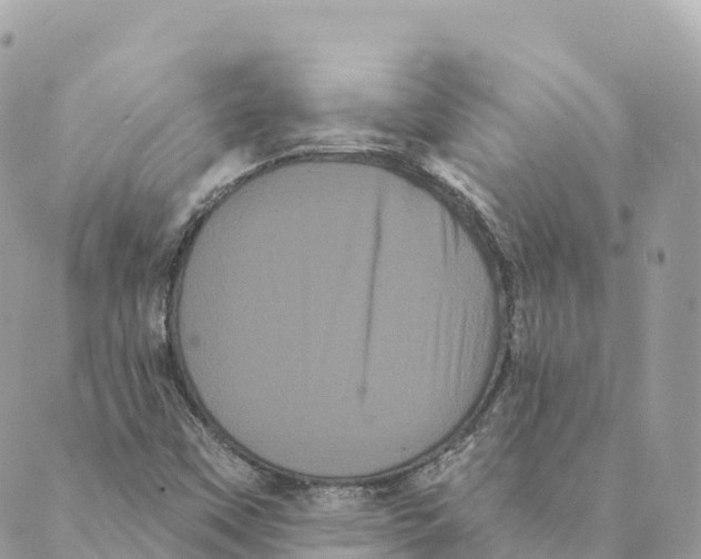 X0000088591451200706221329