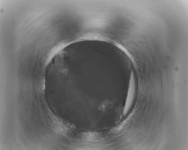 X0000088591461200706221329