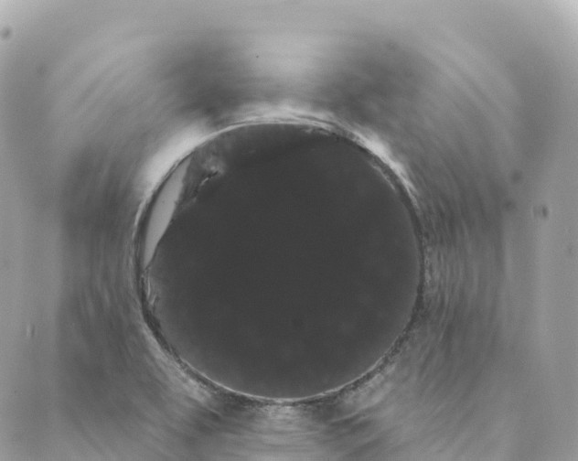 X0000088591463200706221329