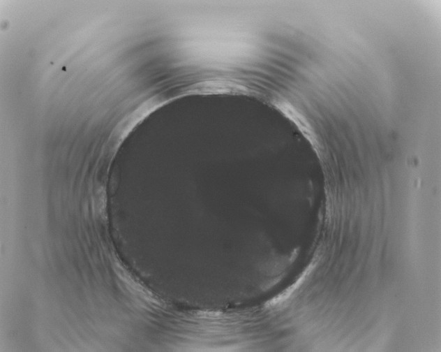 X0000088591465200706221329