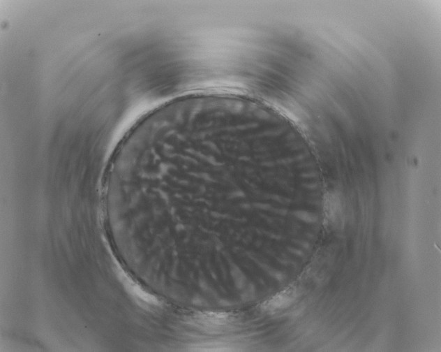 X0000088591470200706221329