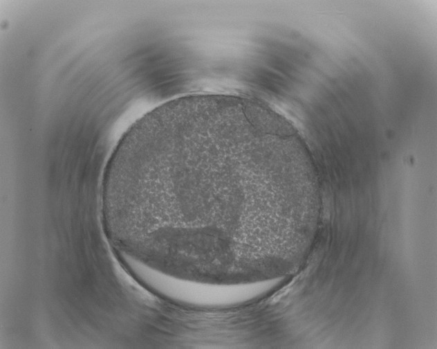 X0000088591471200706221329