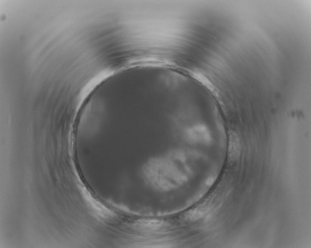 X0000088591474200706221329