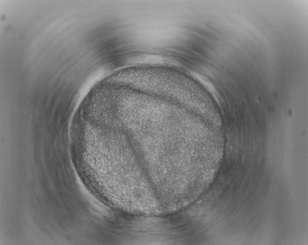 X0000088591475200706221329