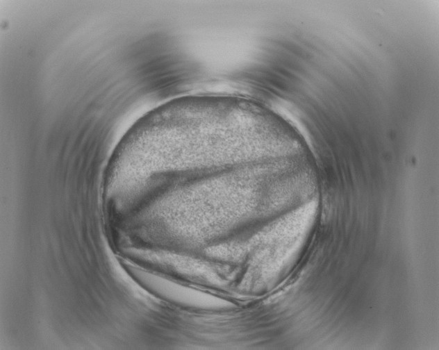 X0000088591483200706221328