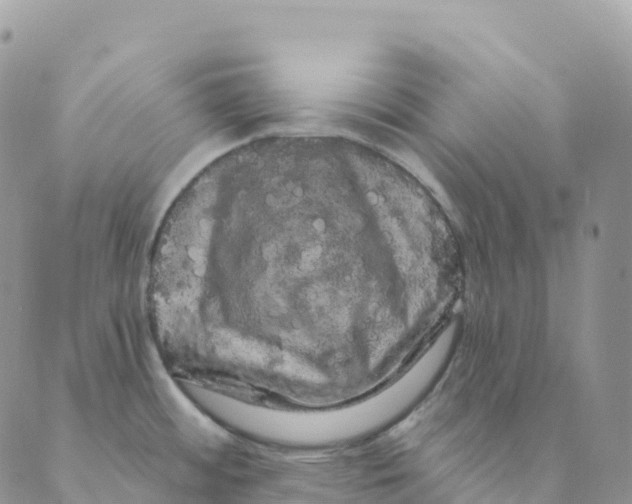 X0000088591484200706221328