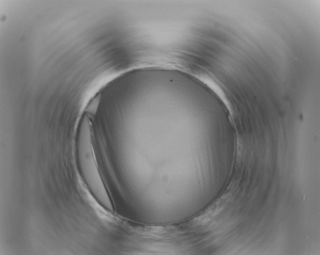 X0000088591485200706221328